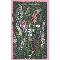 Caithréim agus Tóir