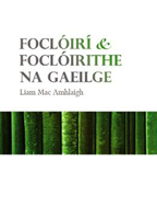 Foclóirí agus foclóirithe na Gaeilge