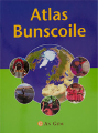Atlas Bunscoile