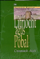 Litríocht agus Pobal: Cnuasach Aistí