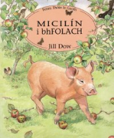 Micilín i bhFolach 