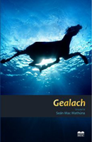 Leabhar mhí na Bealtaine 2013